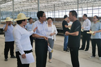 县人大常委会调研全县上半年国民经济和社会发展计划执行情况