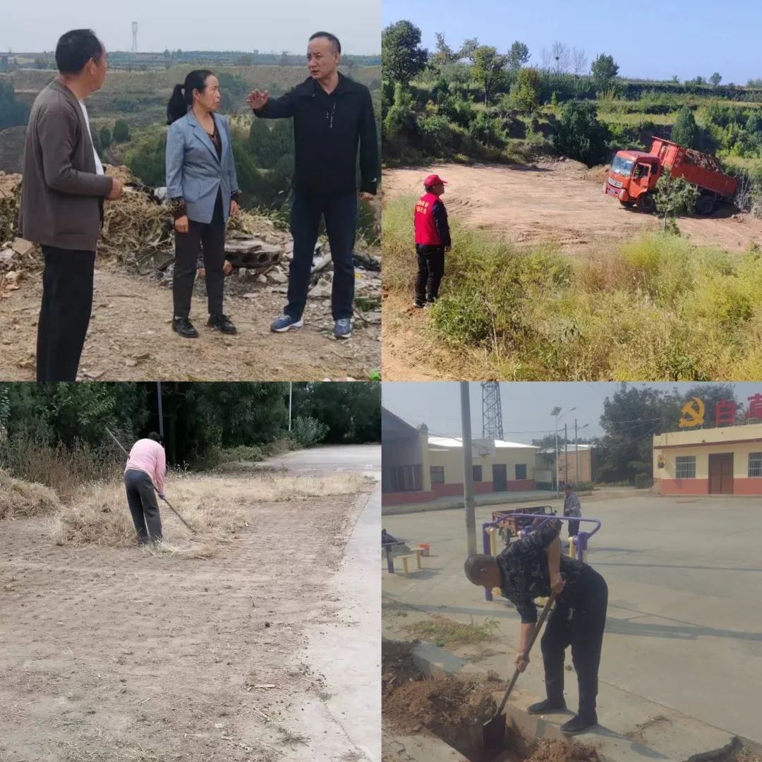 王庄镇：发挥人大代表作用 助力人居环境提升